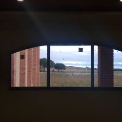 Vidrieras para Bodegas Murillo